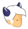 mini feca