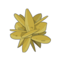 Rose des sables.png